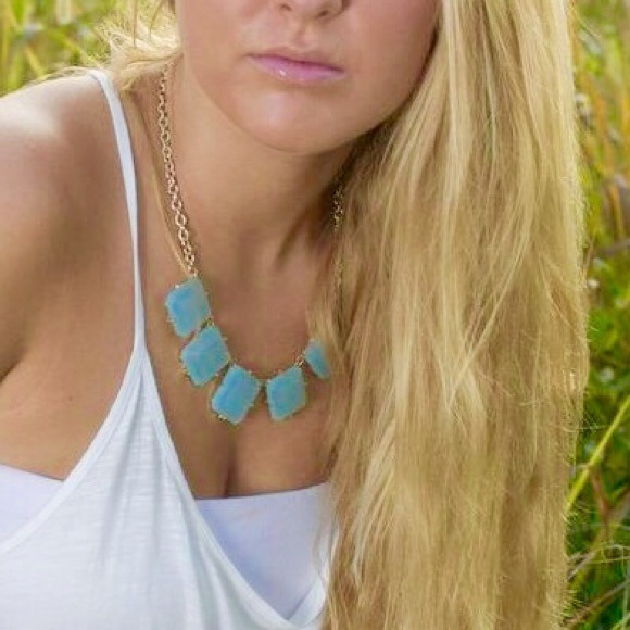 Blue Acrylic Necklace from Palm Ave