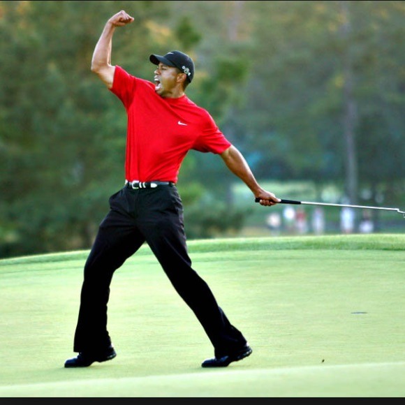 Nike/ Tiger Woods Pants - NWOT-Black Nike Tiger Woods Golf Pants