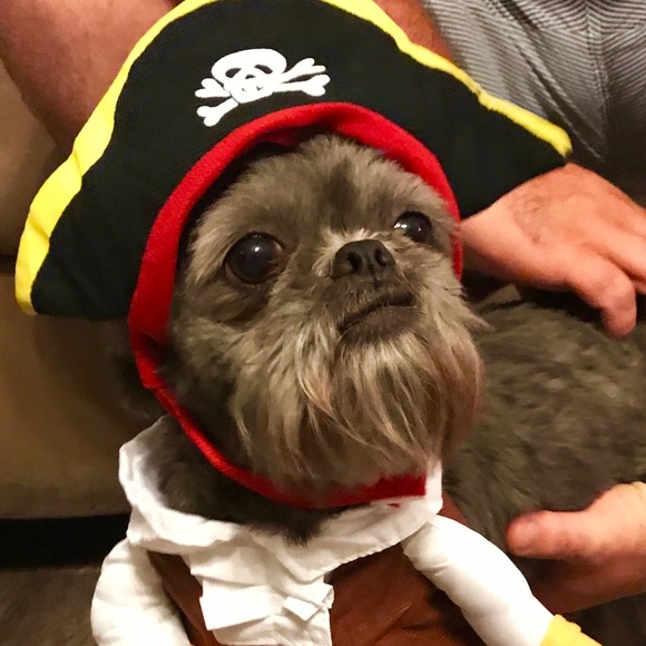 My Beautiful Family - Picture 6 of 7