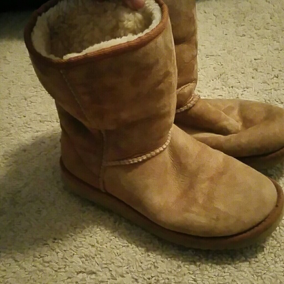Chestnut uggs