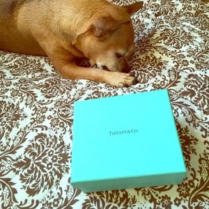 Tiffany & co box and pouch