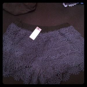 Navy miss me lace shorts!! New with tags!