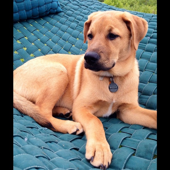 Meet your seller 😊👍 - Picture 4 of 4