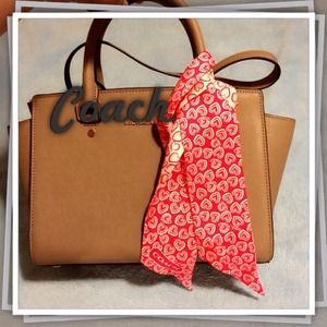 Coach handbag scarf