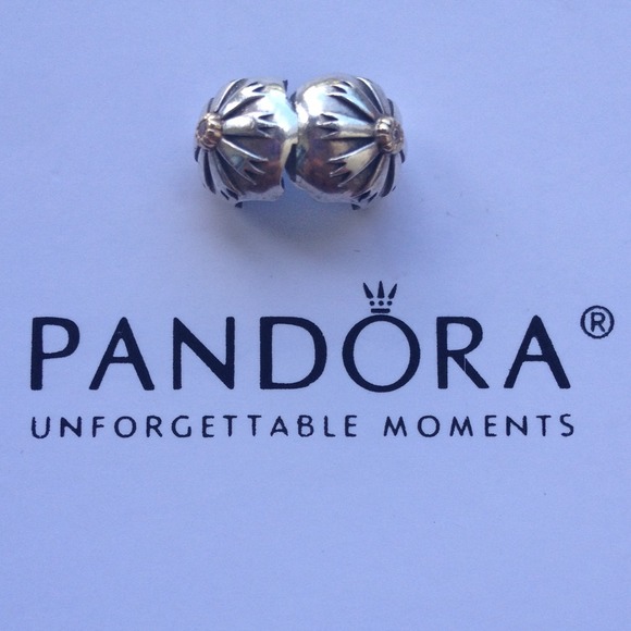 Authentic pandora bead