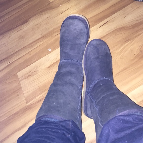 Navy Uggs