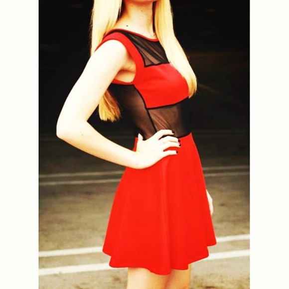 Lovely Mesh Dress