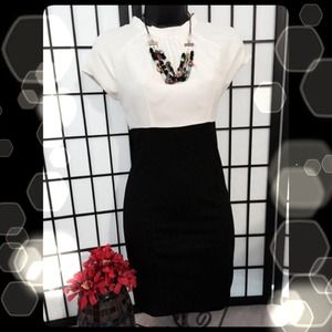 🎉HP🎉 Day to Night Perfection: Dress