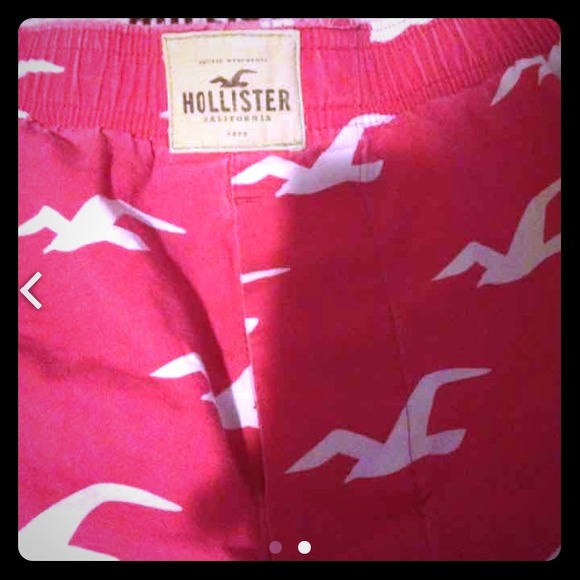 Hollister boxers