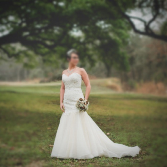 Beautiful Champagne Wedding Dress!