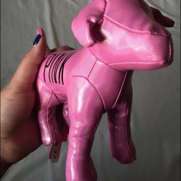 PINK® VS Dog in pink