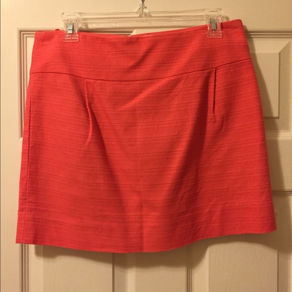 J Crew Factory Skirt