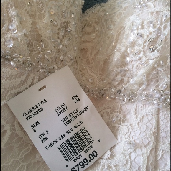 Gorgeous Champagne Wedding Dress - Picture 4 of 4