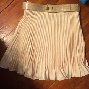 A beautiful and elegant pleated skirt.