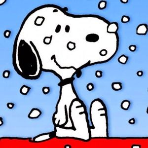 Bundle for @dawn42081