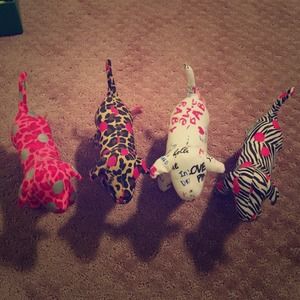 4 Victoria's Secret dogs