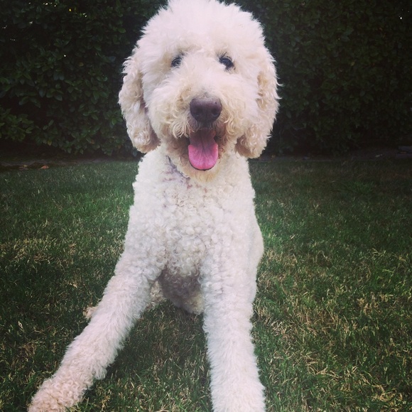 Meet Your Seller/ Buyer - Picture 3 of 4