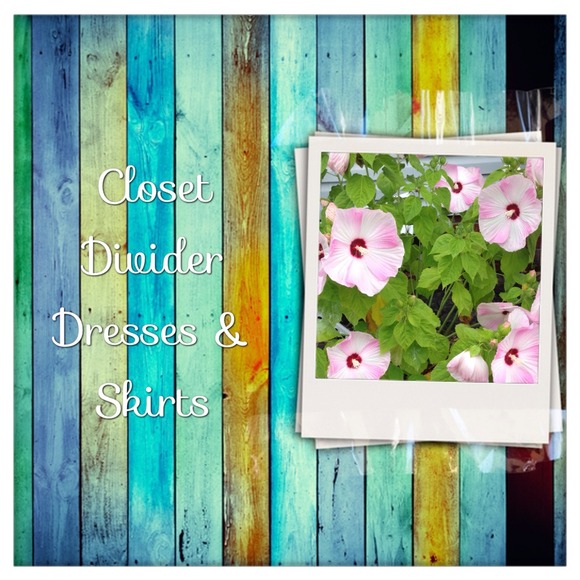 Closet Divider Dresses! BOGO 1/2 off!