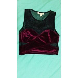 Urban Outfitters Velvet Crop Top
