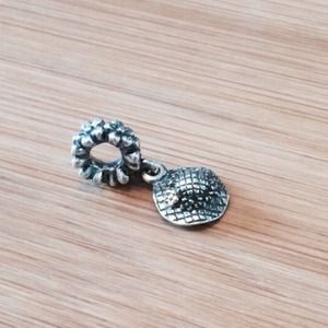 Pandora dangle charm