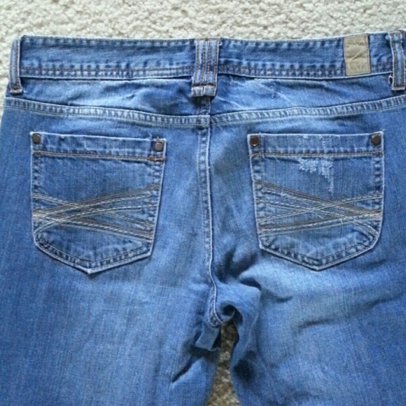 Maurices - Molli Flare 5/6 Regular