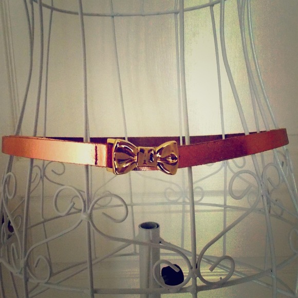 Bronze Leather Belt