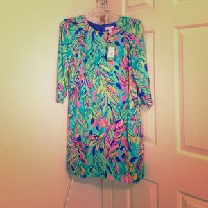 🎀 Multi Hot Spot Carol Shift 🎀