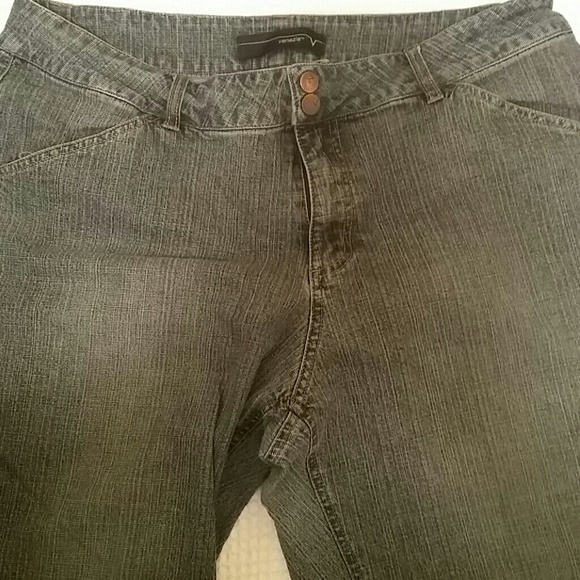 Lane bryant venezia jeans size 18