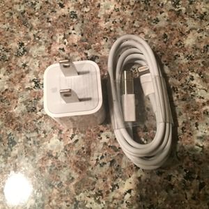Apple lightening cable and power block.