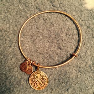 Alex & Ani path of life bangle