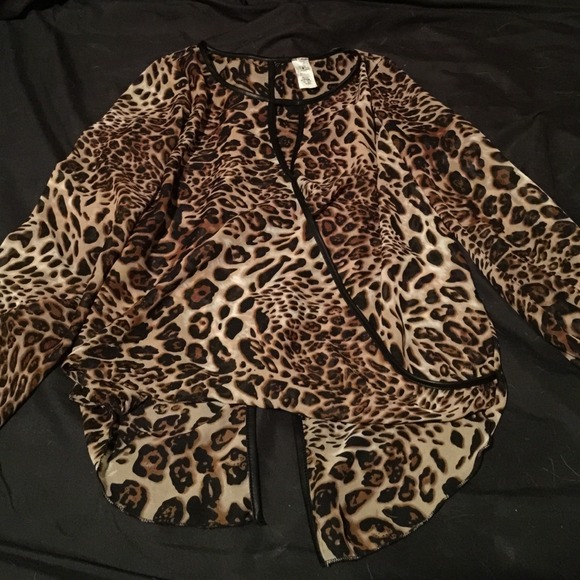 Leopard / Cheetah print long sleeve sheer top