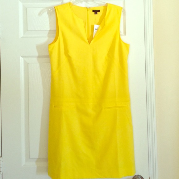 Ann Taylor Dress