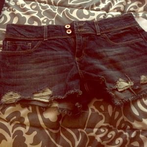 NEW Charlotte Russe Shorts