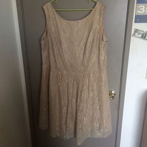 Champagne Lace Dress