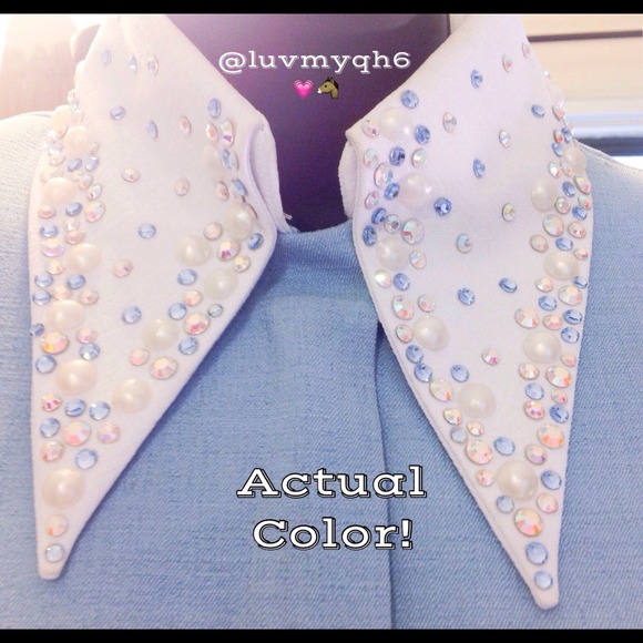 Berry Fit Custom Designed Outfit Horse Events - Picture 4 of 4