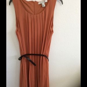 Autumn colored shift dress!