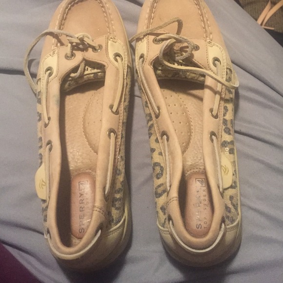 Sperrys Cheetah