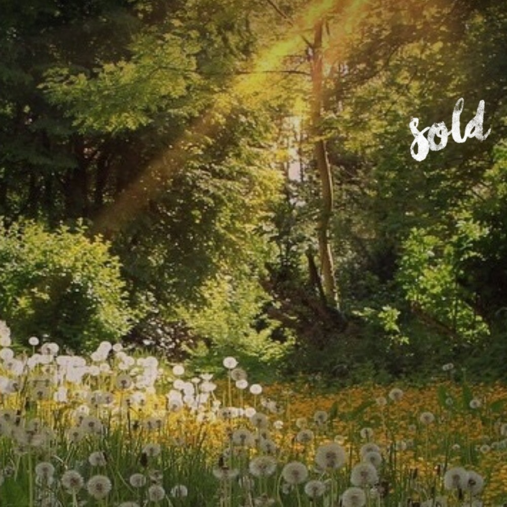 ✨everything below this point is sold✨