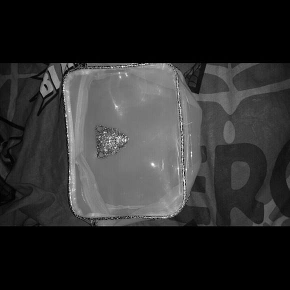Lion Clear See Through Purse