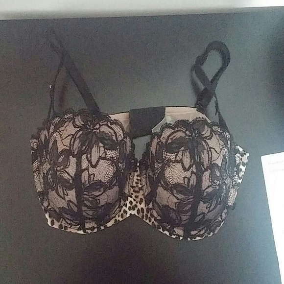 Leopard and Lace Demi Victoria's Secret Push Up
