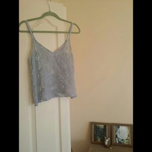 Sheer Abercrombie & Fitch Rose Top