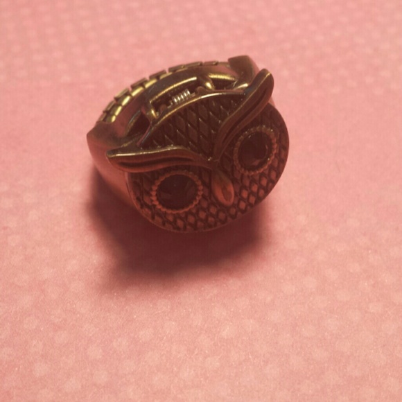 Adorable Owl ring/clock