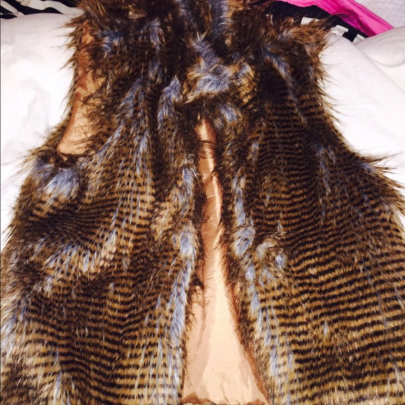 Beevs vest - Picture 1 of 2