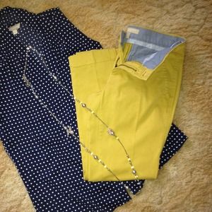 BR City roll up Chino- Perfect Gold