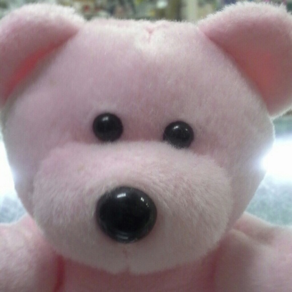 Teddy bear bundle