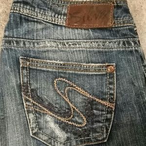 Silver Tuesday cut 28x33