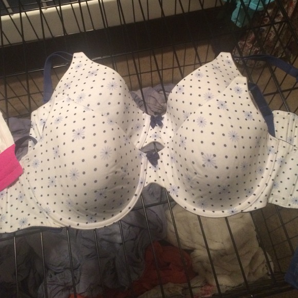 38D bra