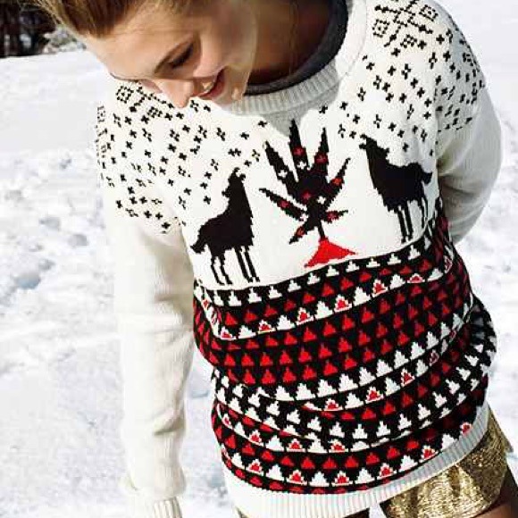 BDG animal games sweater
