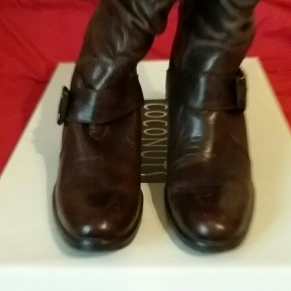 Coconuts SOLD - Picture 2 of 3