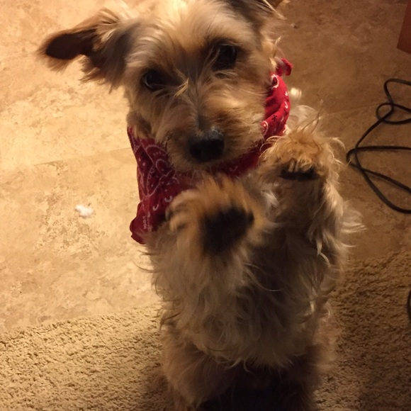 Meet your seller - Picture 2 of 2